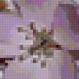 Предпросмотр схемы вышивки «сакура» (№227163)