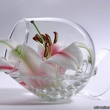 Схема вышивки «лилия»