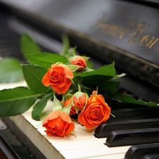 Схема вышивки «розы»