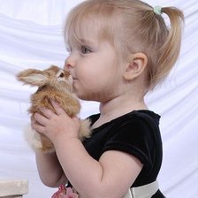 Схема вышивки «нежность»