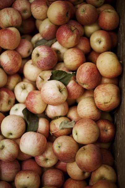 №227439 - оригинал