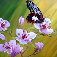 Схема вышивки «бабочка»