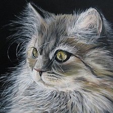 Схема вышивки «Барсик»