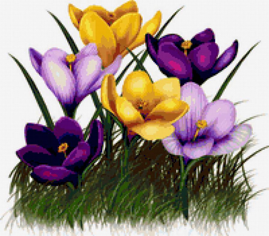 Цветочки - предпросмотр