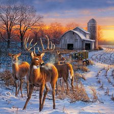 Схема вышивки «Дикие животные зимой»