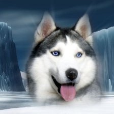 Схема вышивки «волк»