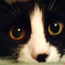 Схема вышивки «Стеша»