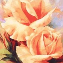 Схема вышивки «rózsa»