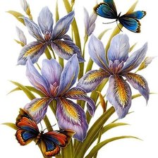 Схема вышивки «№227811»