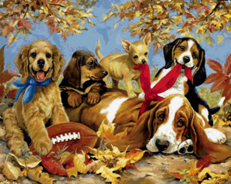 разные настроения - милашки, животные, собака, щенята, друг семьи, друг - предпросмотр