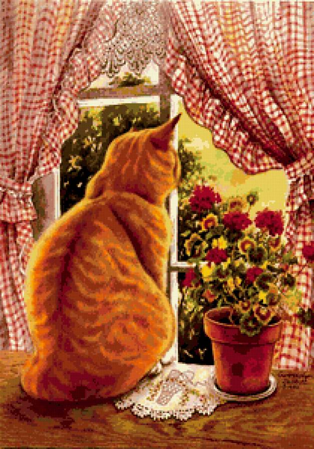 Кот у окна - кот, окно - предпросмотр