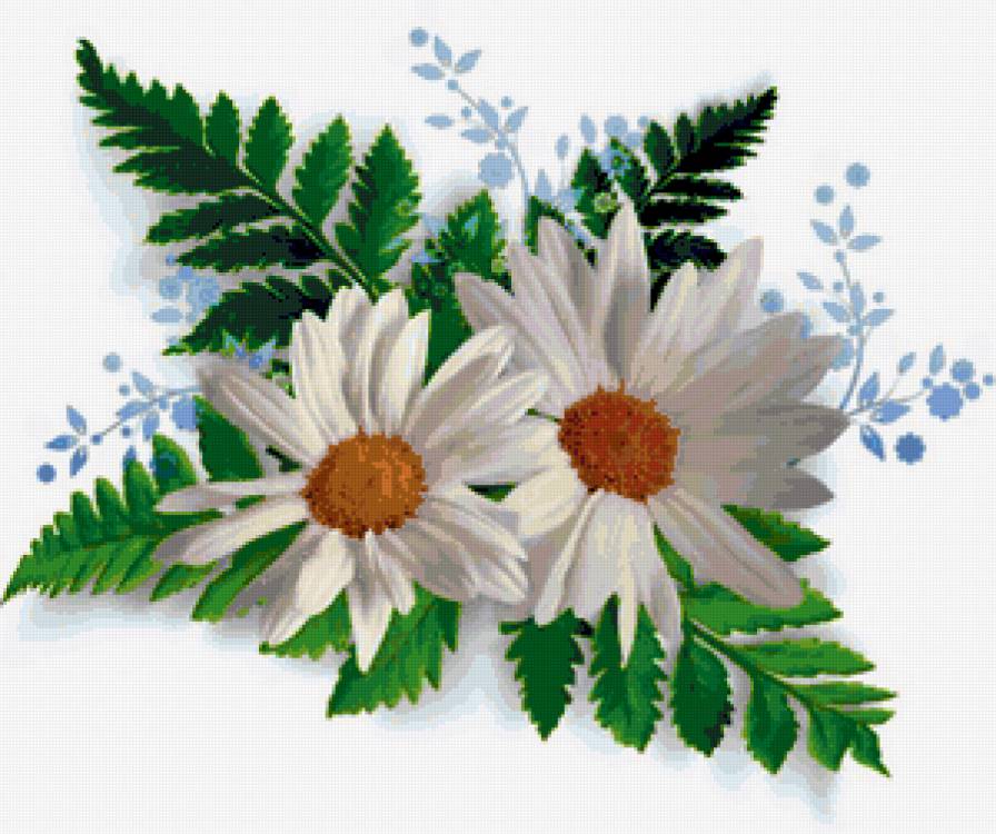 №227896 - предпросмотр