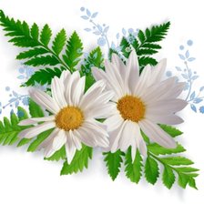 Схема вышивки «№227896»