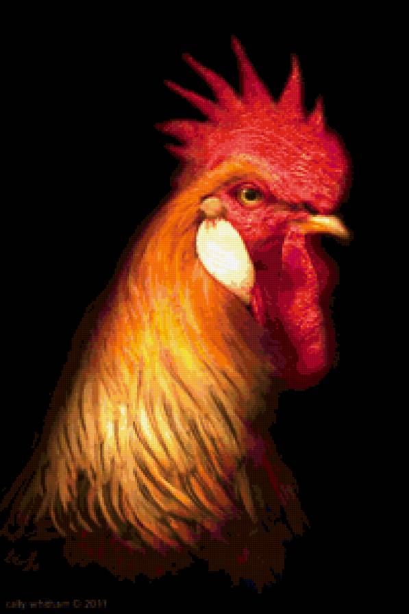Петух - предпросмотр