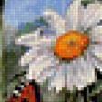 Предпросмотр схемы вышивки «ромашковое поле» (№227962)