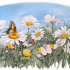 Схема вышивки «ромашковое поле»