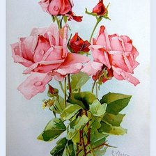 Схема вышивки «Элегантность»