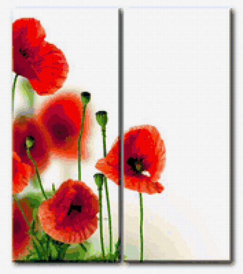 pipacs - предпросмотр