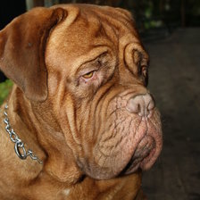 Схема вышивки «яша»