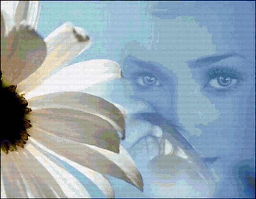 ромашка - цветы. ромашки. взгляд. девушка - предпросмотр