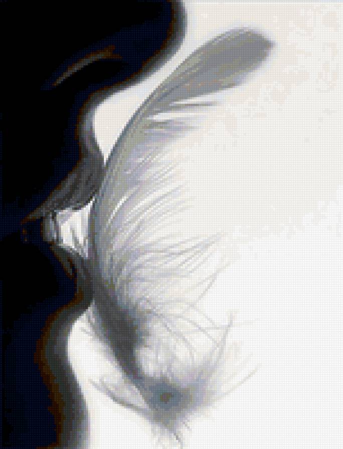 нежность - предпросмотр