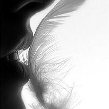 Схема вышивки «нежность»