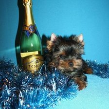 Схема вышивки «подарок»