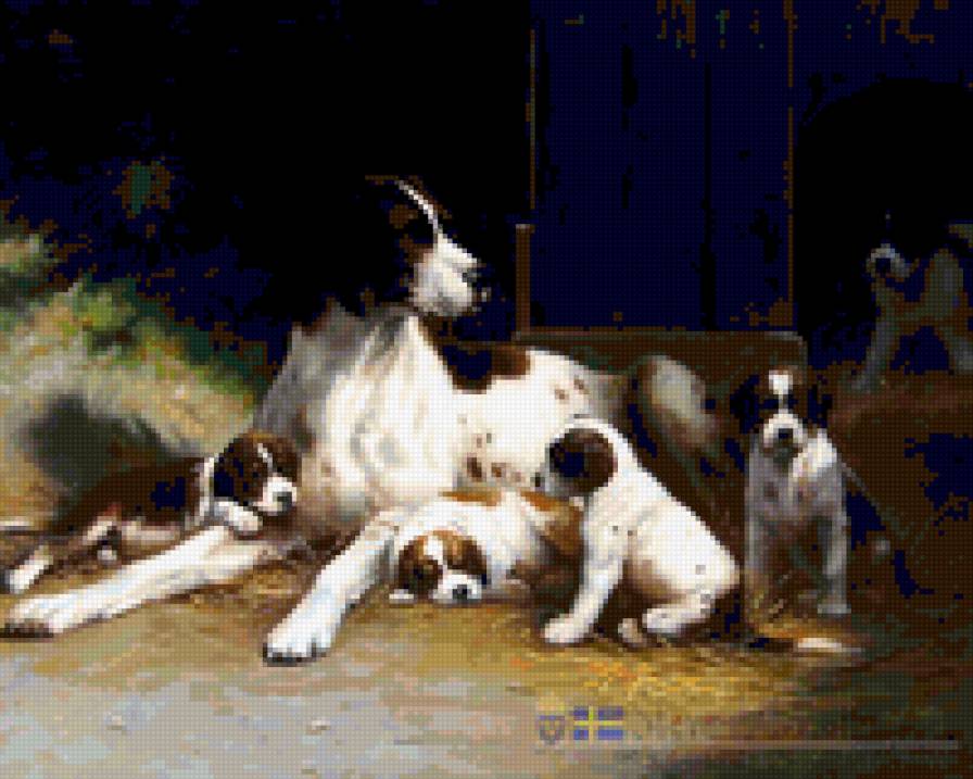 kutyus - предпросмотр