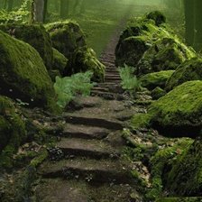 Схема вышивки «сказка в лесу»