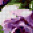 Предпросмотр схемы вышивки «розы» (№228395)