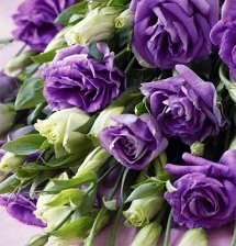 Схема вышивки «розы»