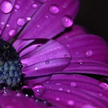 Схема вышивки «цветок»