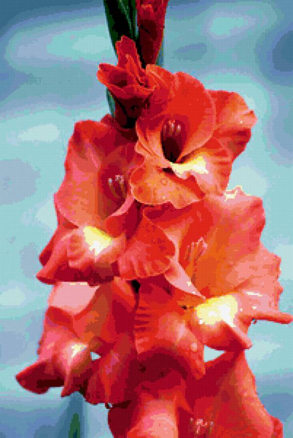 Красиво - цветы - предпросмотр