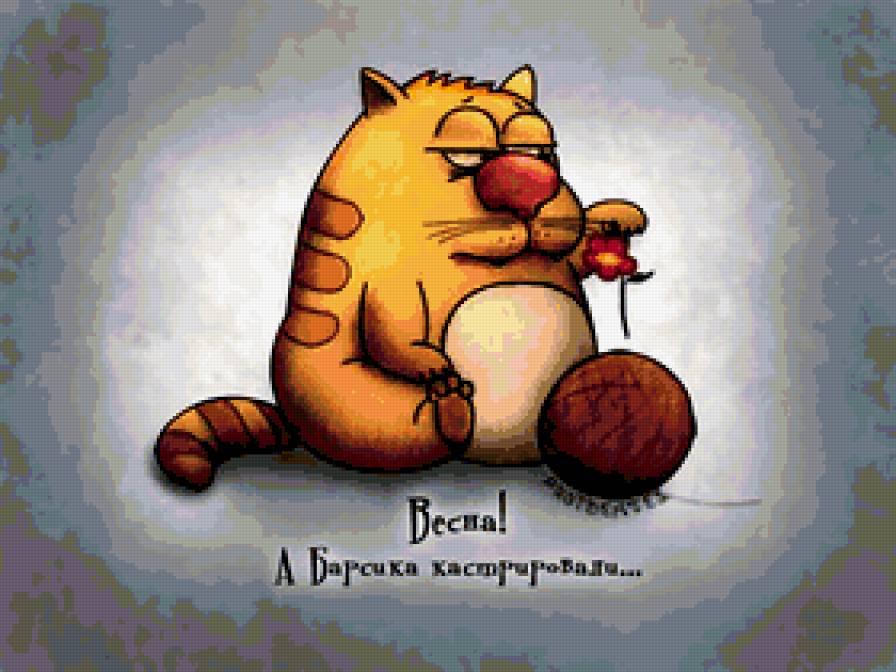 019 - приколы, кот - предпросмотр