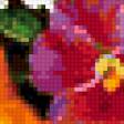 Предпросмотр схемы вышивки «цветы» (№228437)