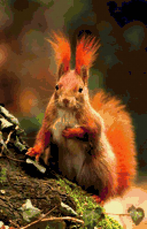 Белочка - лесные животные - предпросмотр