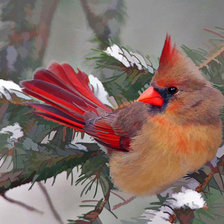 птичка-невеличка