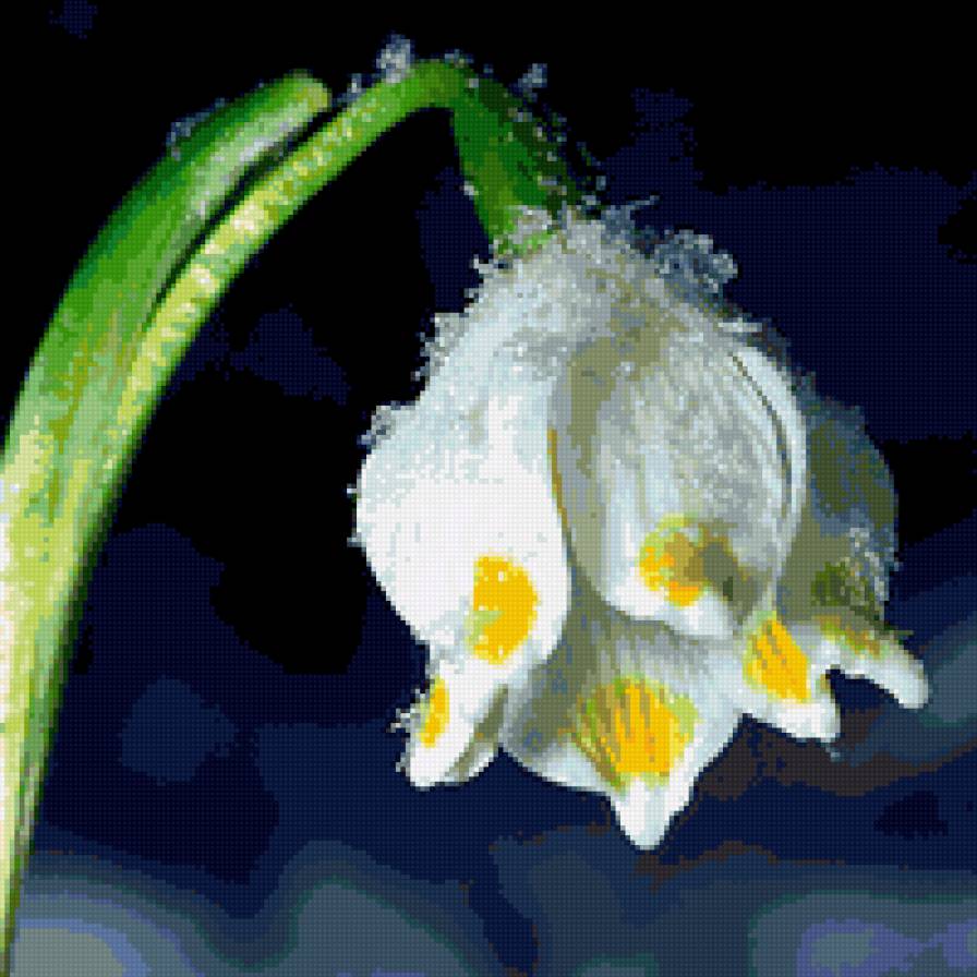 Подснежник - цветы - предпросмотр