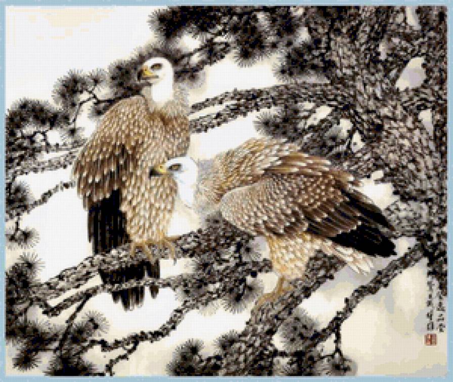 китай - предпросмотр