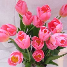 Схема вышивки «тюльпаны»