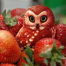 птичка-невеличка