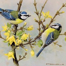 Схема вышивки «Весенние птицы»