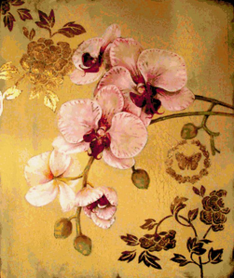 Орхидея. - цветы, орхидеи - предпросмотр