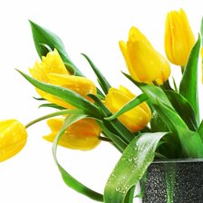 Схема вышивки «Тюльпаны»