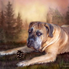 Схема вышивки «№229252»