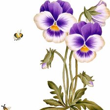 Схема вышивки «№229253»