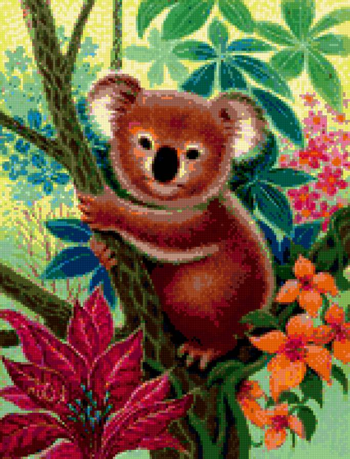 коала - цвет, коала - предпросмотр