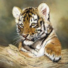 Схема вышивки «Tigris»