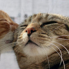 Схема вышивки «поцелуй»