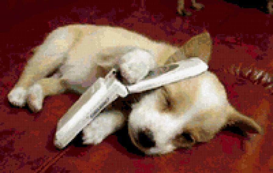 алло!!! - сон, животные, прелесть, фауна, щенок - предпросмотр